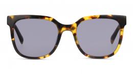 DbyD Kunststoff Panto Havana/Havana Sonnenbrille mit Sehstärke, verglasbar; Sunglasses; auch als Gleitsichtbrille