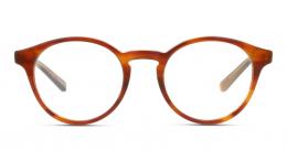 DbyD Kunststoff Panto Havana/Orange Brille online; Brillengestell; Brillenfassung; Glasses; auch als Gleitsichtbrille