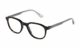 Police VPLF77 04BL Kunststoff Panto Braun/Braun Brille online; Brillengestell; Brillenfassung; Glasses; auch als Gleitsichtbrille
