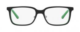 PoloPrep 0PP8545 5613 Kunststoff Panto Schwarz/Grün Brille online; Brillengestell; Brillenfassung; Glasses