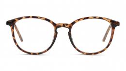 Seen Kunststoff Panto Havana/Havana Brille online; Brillengestell; Brillenfassung; Glasses; auch als Gleitsichtbrille
