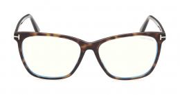 Tom Ford FT5762-B 052 Kunststoff Panto Havana/Havana Brille online; Brillengestell; Brillenfassung; Glasses; auch als Gleitsichtbrille